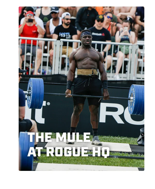 The Mule at Rogue HQ