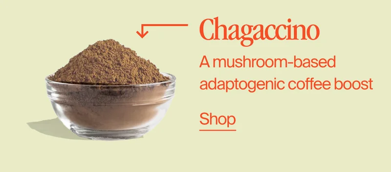 Chagaccino