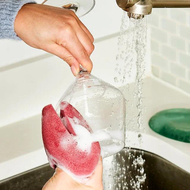 Wine Glass Sponge