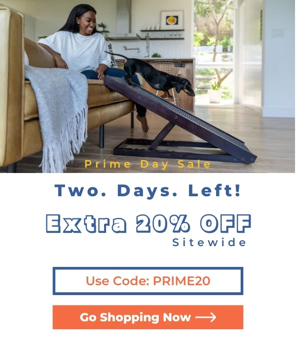 Prime Day Sale