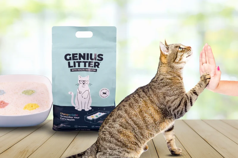 Genius Litter