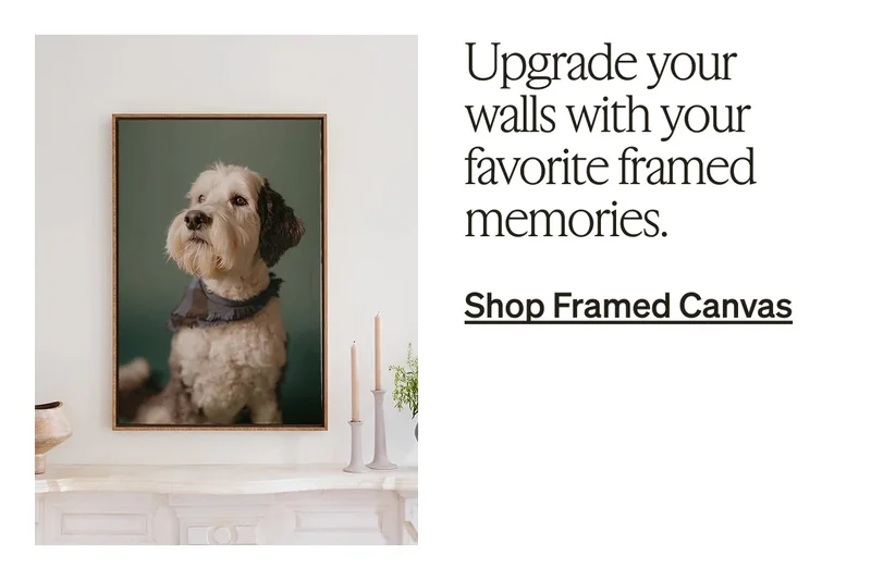 50% Off Qualified Orders