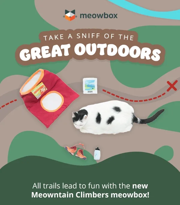 Take a sniff of the great outdoors! Animation of a white, black spotted cat looking around with the Cat's in the (Sleeping) Bag, Meowntain Views, Catcountry Hiking Boots and Bean's Canteen Catnip toys surrounding him. In front of a hiking trail map background. All trails lead to fun with the new Meowntain Climbers meowbox!
