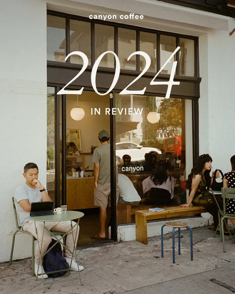 2024 in review