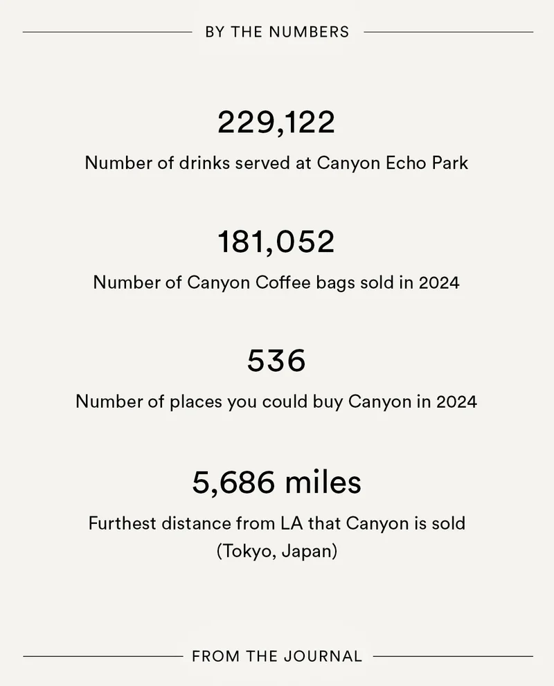 2024 in review