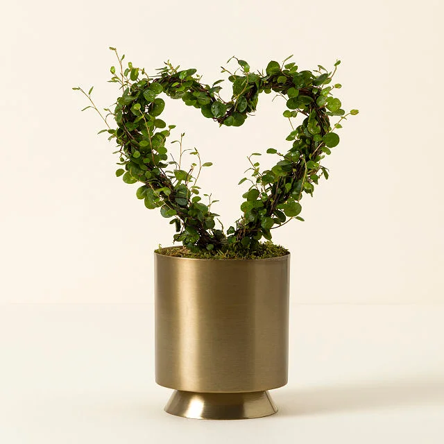 Angel Vine Heart Topiary