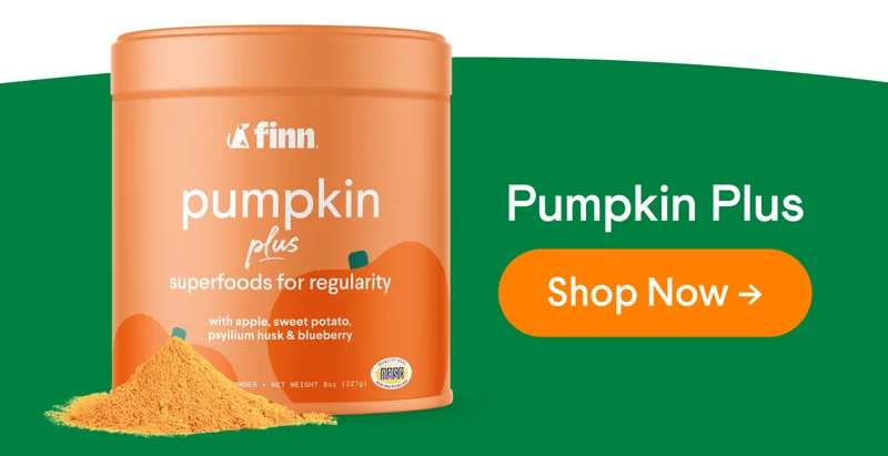 Pumpkin Plus digestive superfood powder | Shop Now >