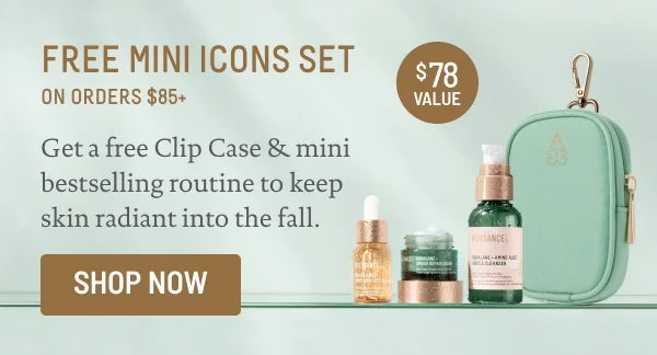 Free Mini Icons Set