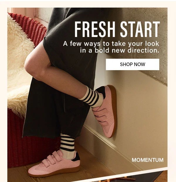 Fresh Start - Momentum
