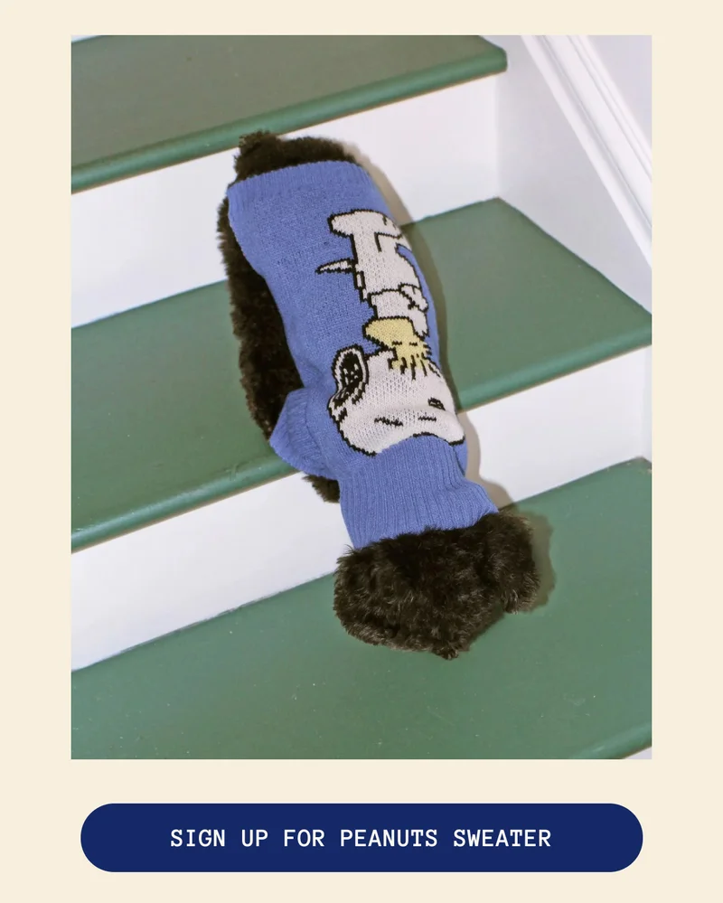 Sign Up For Peanuts Sweater
