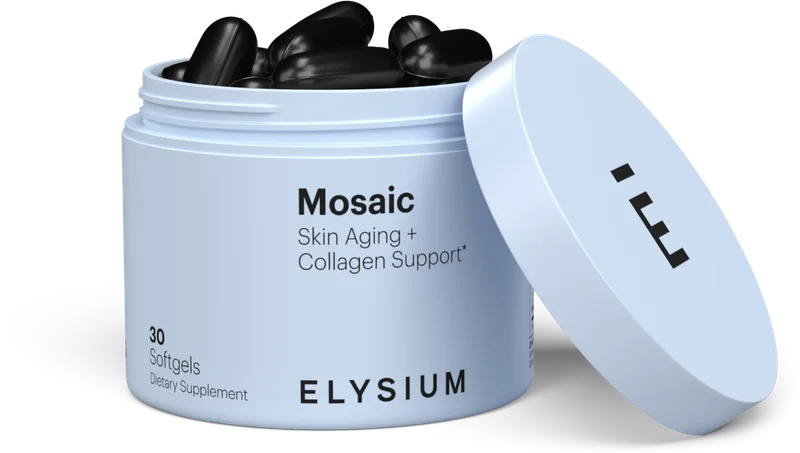 Mosaic | ELYSIUM