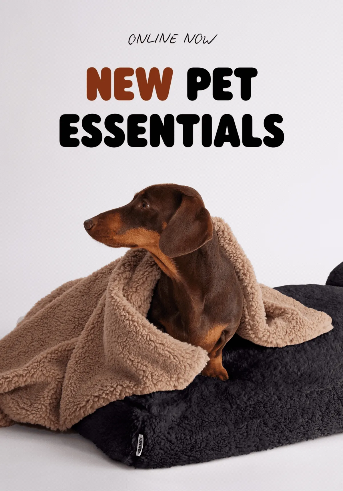 NEW PET ESSENTIALS