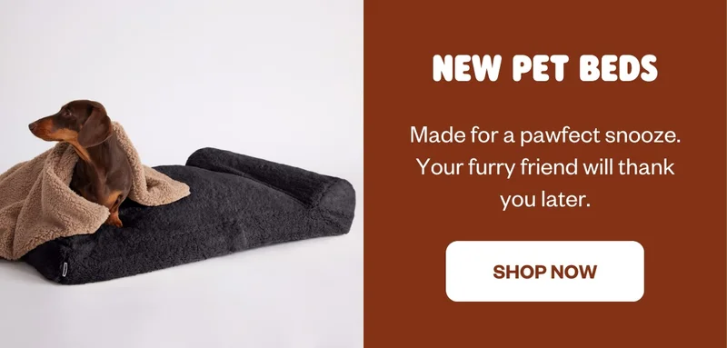 NEW PET BEDS