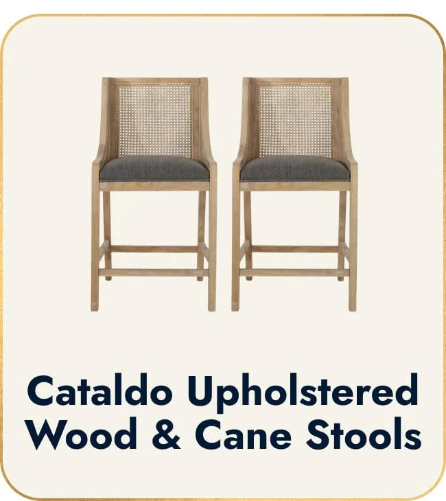 Cataldo Upholstered Wood & Cane Stools
