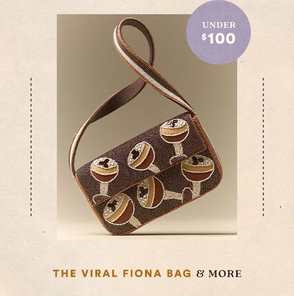 Th viral $100 Fiona bag & more