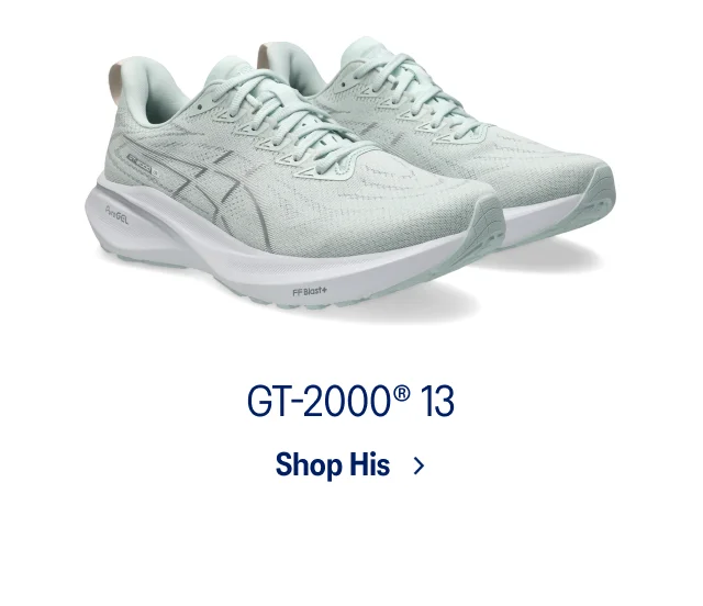 GT-2000® 13 >