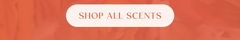 shop all scents