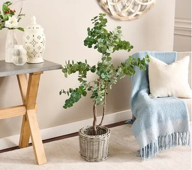4' Faux Eucalyptus Tree in Starter Pot by Valerie