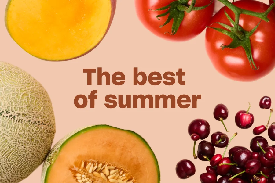 The best of summer