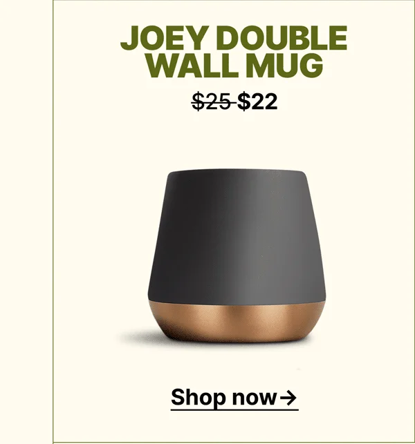Joey Double Wall Mug