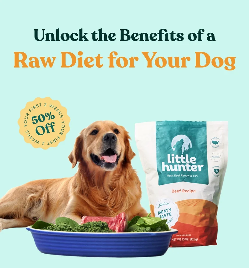 Unlock the Benefits of a  Raw Diet for Your Dog