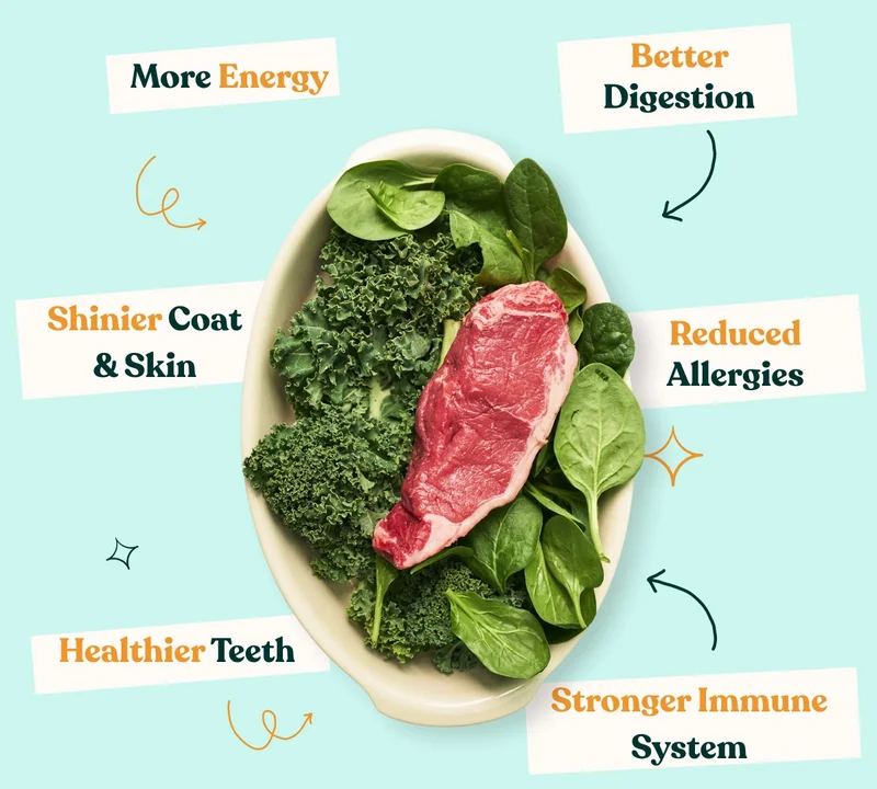 Raw-fed pups are healthier