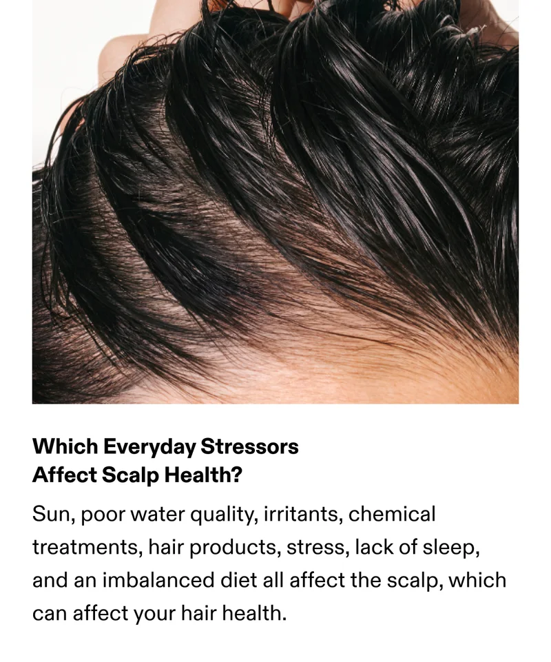 Which Everyday Stressors Affect Scalp Health?