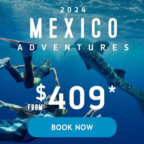 2024 MEXICO ADVENTURES