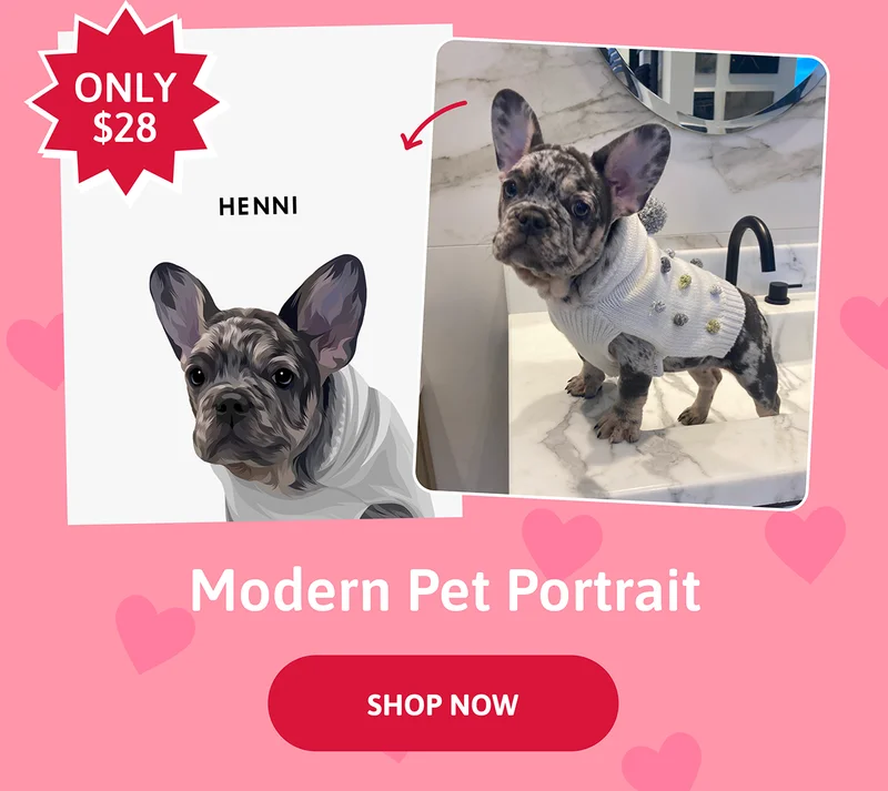Modern Pet Portaits