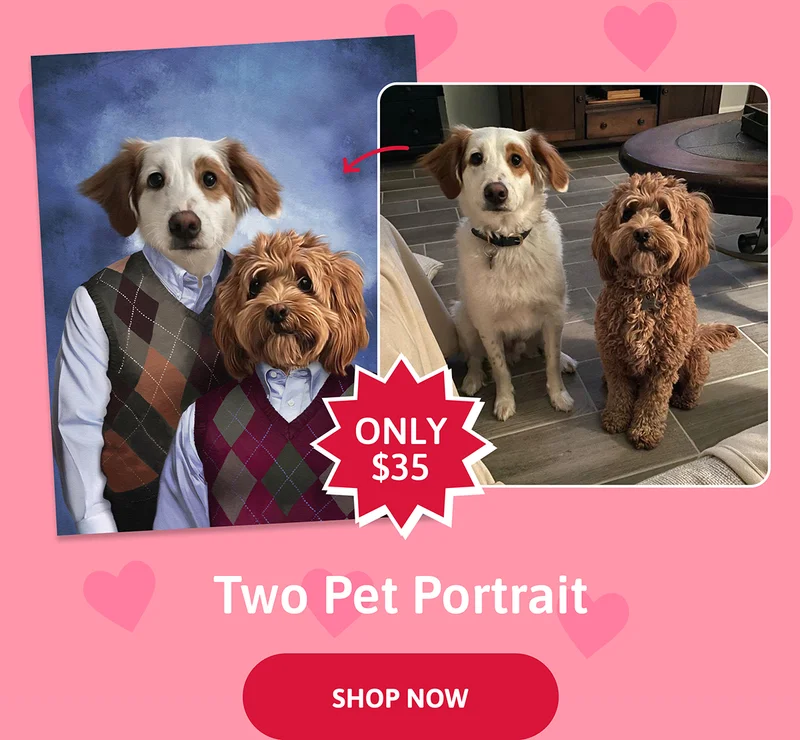 Two Pet Portraits