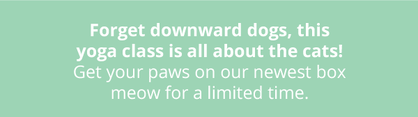 Forget downward dogs, this yoga class is all about the cats! Get your paws on our newest box meow for a limited time.