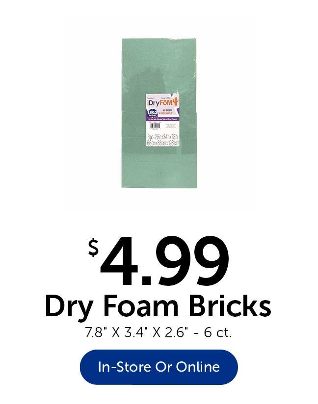 Dry Foam Bricks