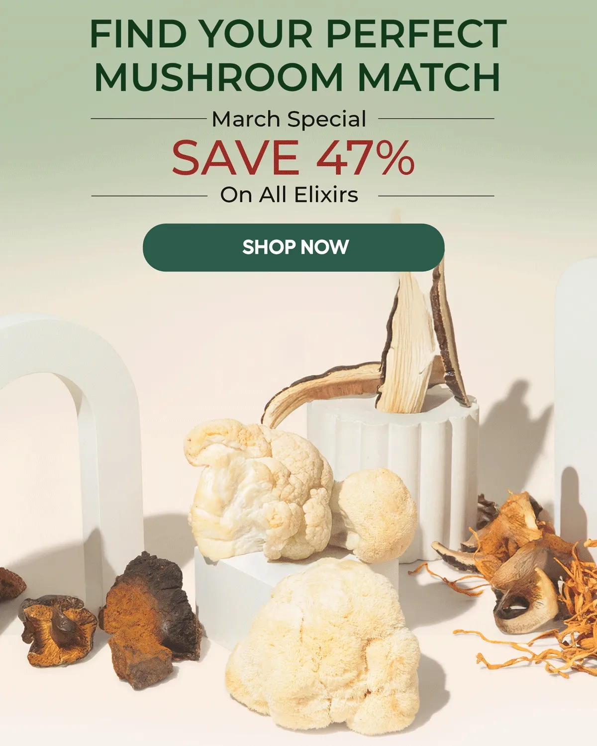 FIND YOUR PERFECT MUSHROOM MATCH March Special Save 47% On All Elixirs.. Shop Now