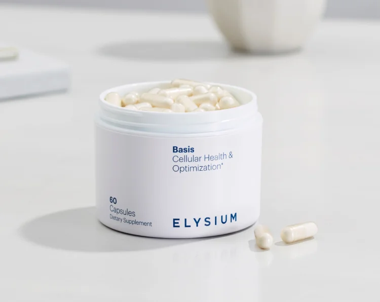 ELYSIUM