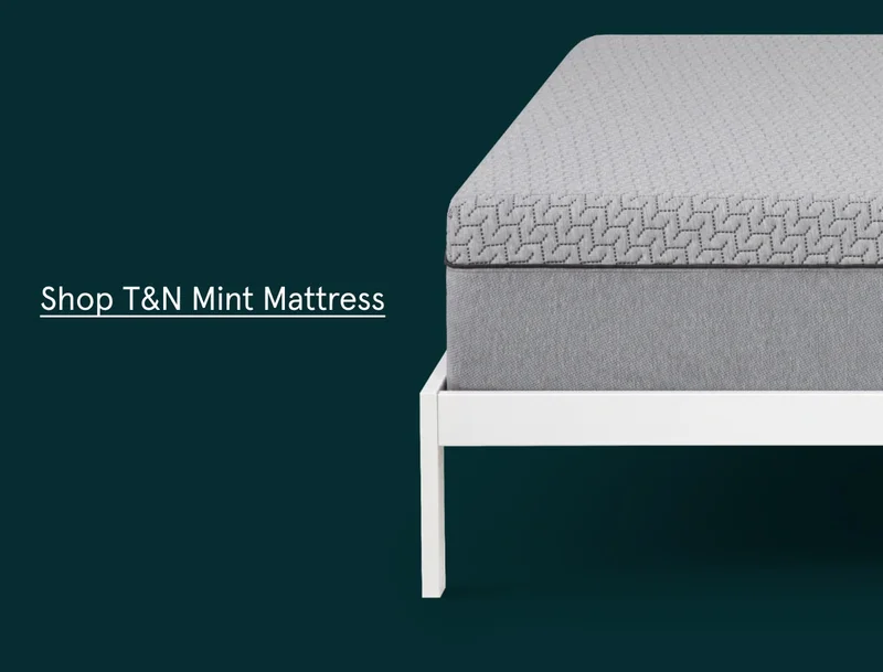 Shop T&N Mint Mattress