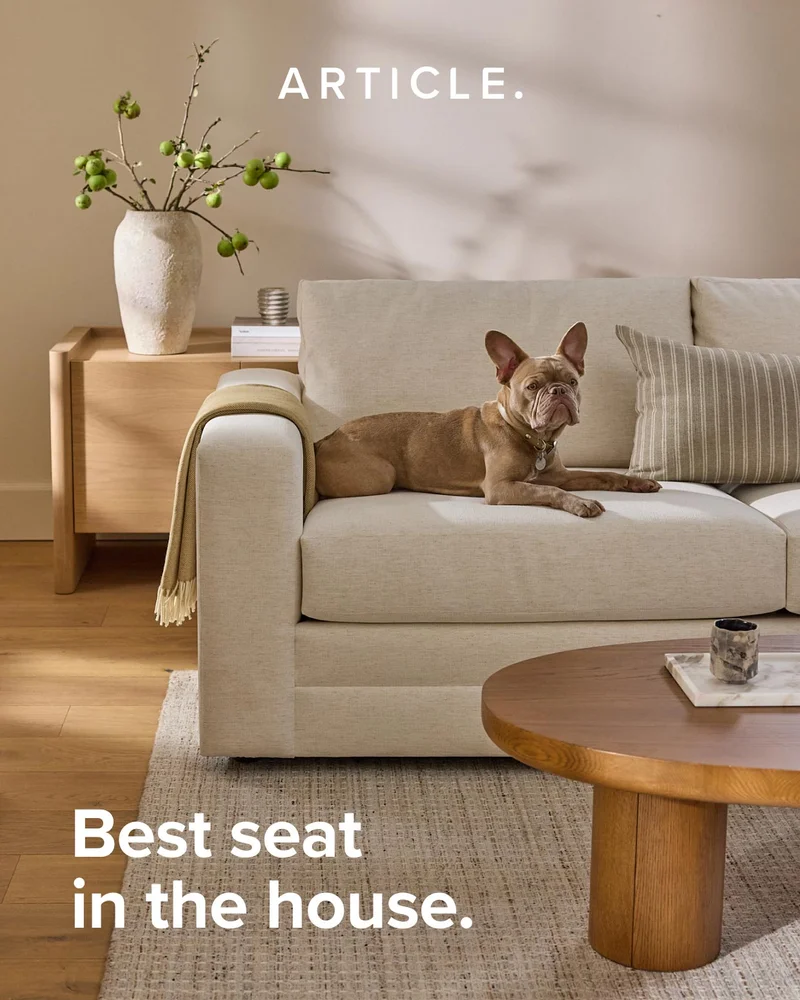 The best seat in the house is an Article Sofa.