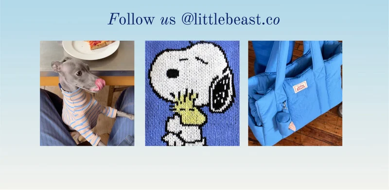 Follow us on Instagram