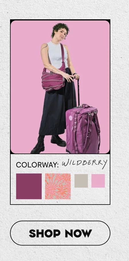 Colorway: Wildberry