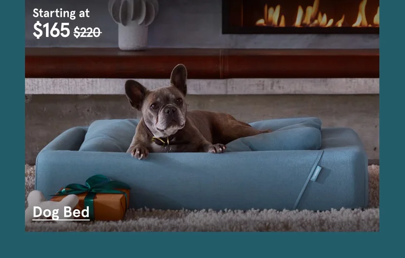 Dog Bed