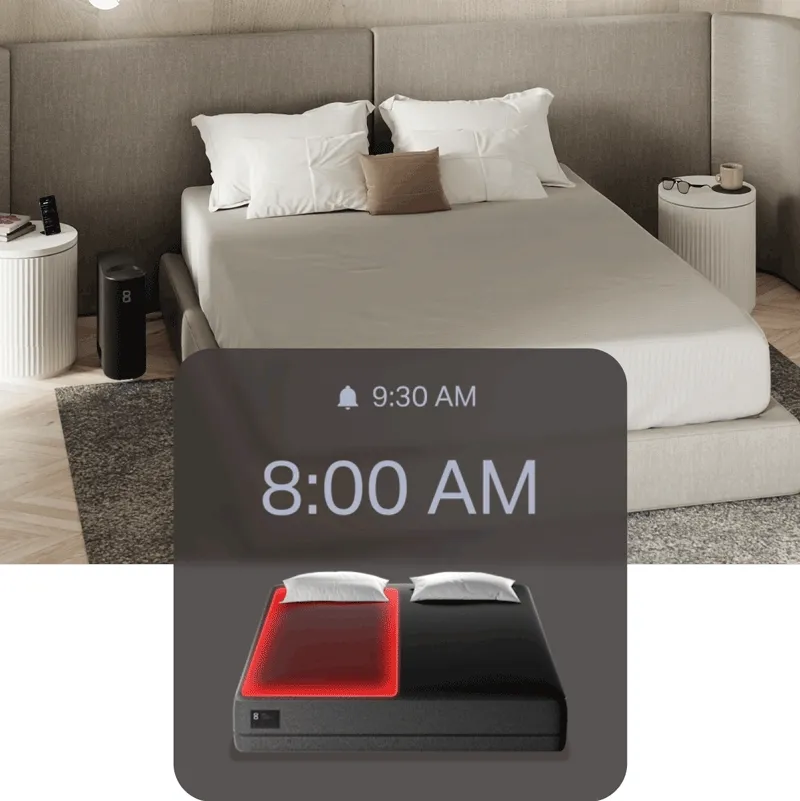 Vibration and Thermal alarm