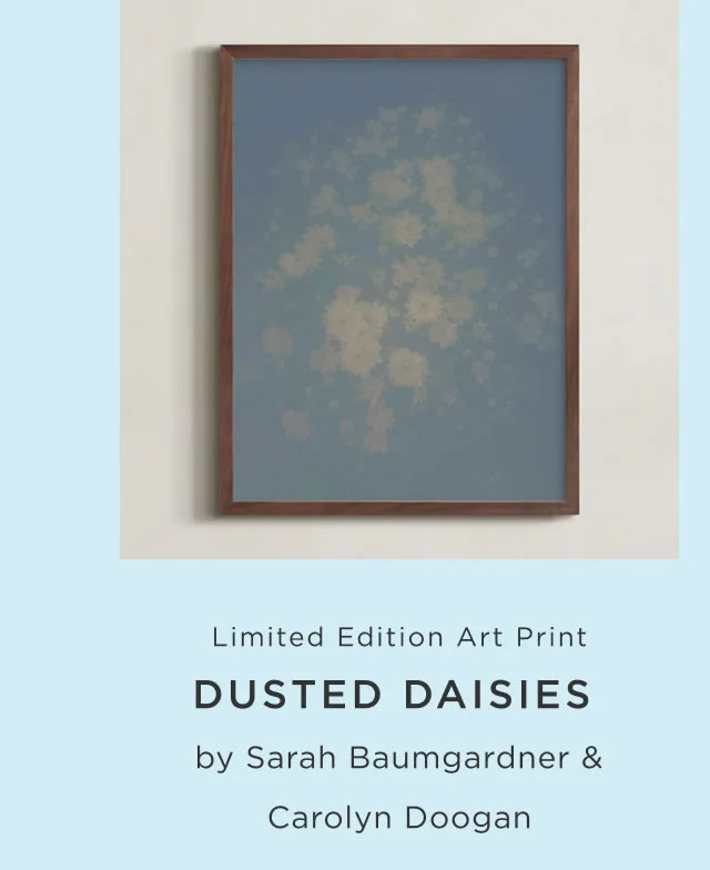 Dusted Daisies