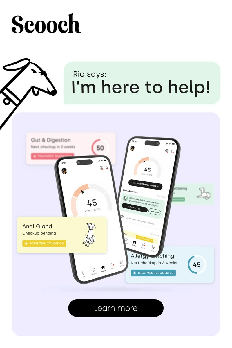 Rio says I'm here to help! - Learn more