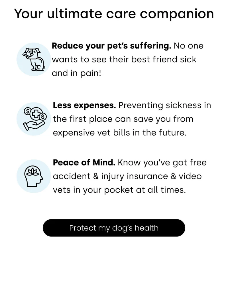 Your ultimate care companion - Protect my dog’s health