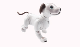 aibo Companion Robot