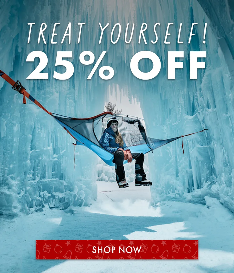 Last Chance For Christmas Delivery