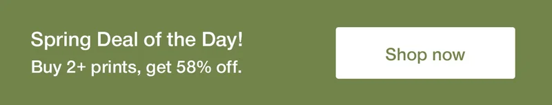 Deal of the day! Buy 2+ prints, get 58% off