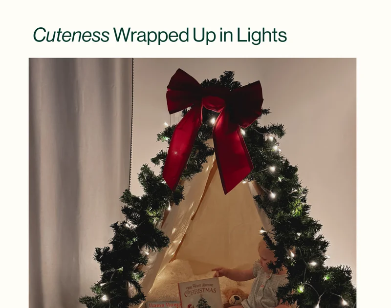 Cuteness Wrapped Up in Lights