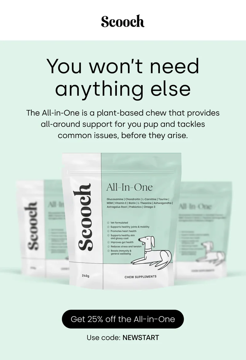 The All-in-One plant-based chew supports your pup and prevents common issues before they start.