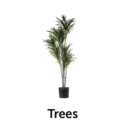 Trees