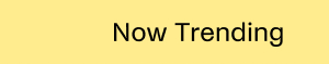 Shop Now Trending